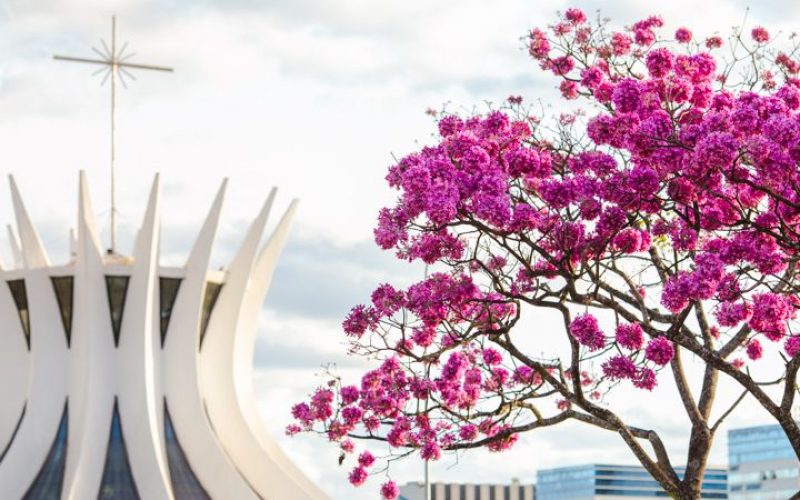 Brasília (DF)